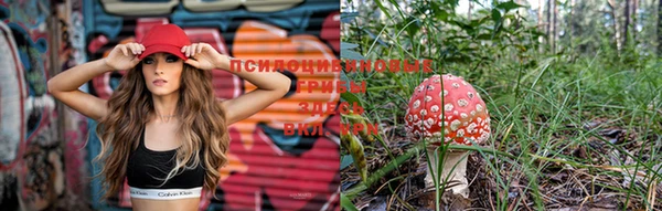 2c-b Снежногорск